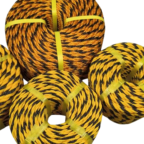 Yellow and Black Rope