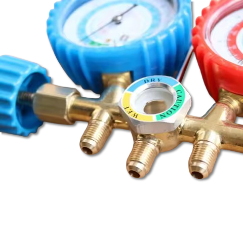 Gas Pressure Regulator with Dual Gauges