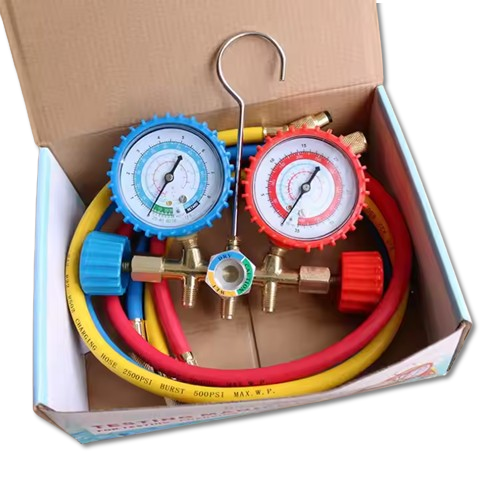 Gas Pressure Regulator with Dual Gauges