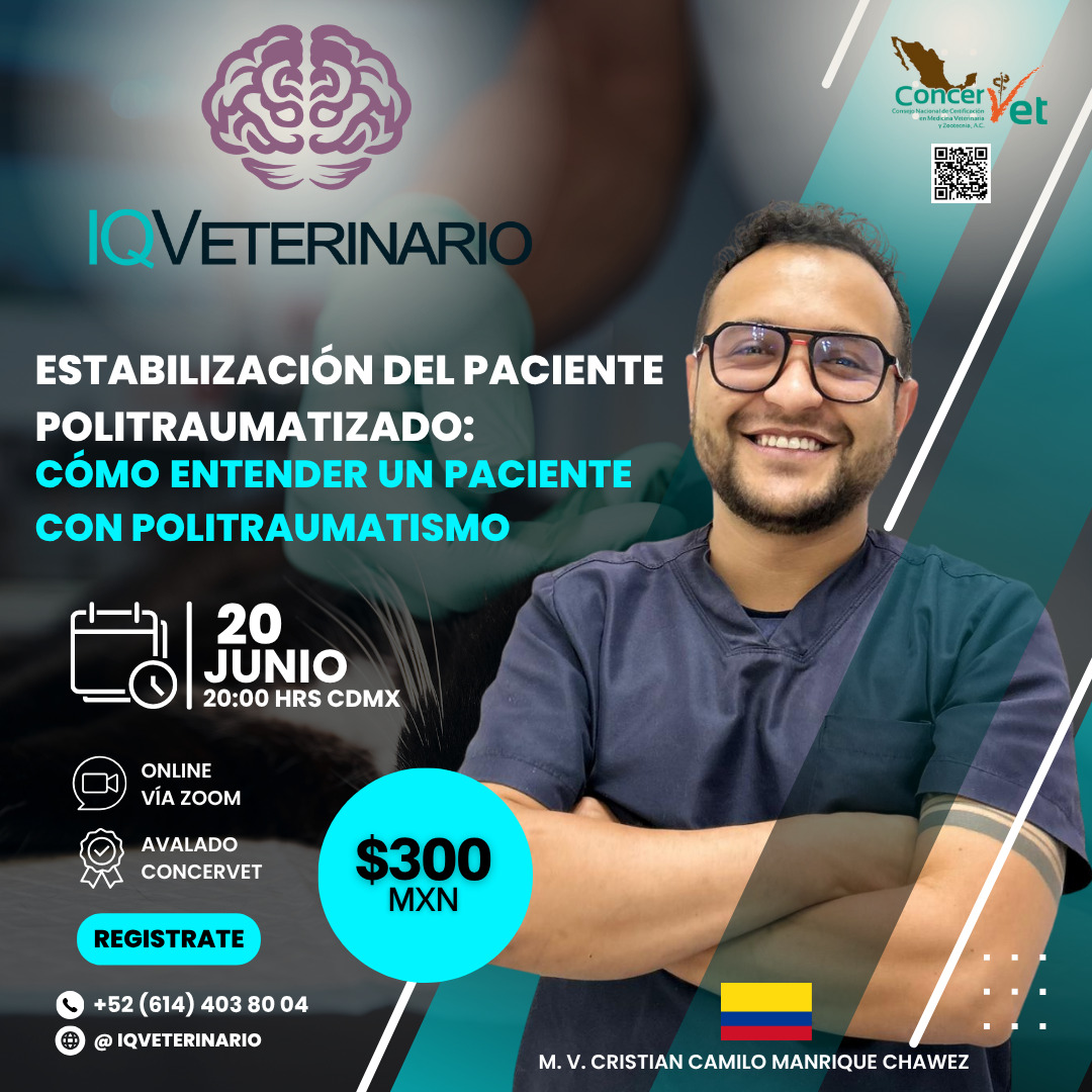 Estabilización del Paciente Politraumatizado