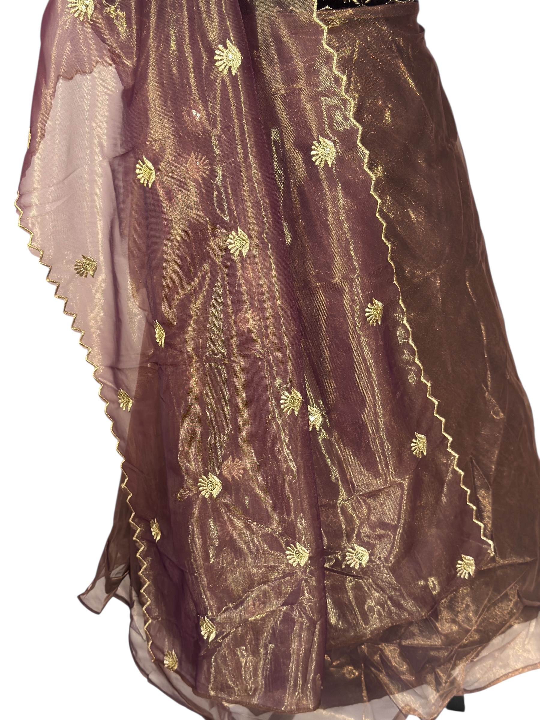 Elegant Embroidered velvet Dress