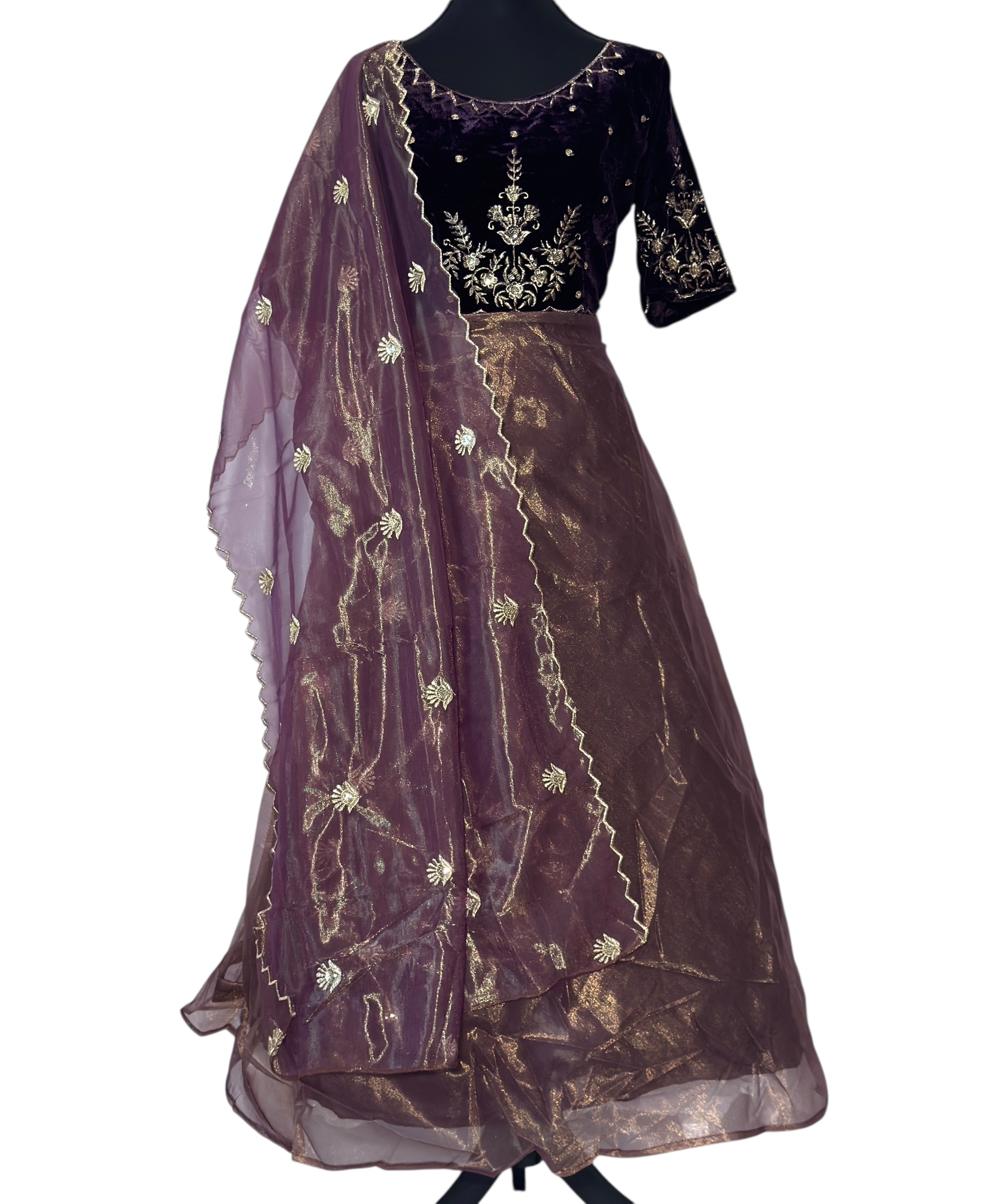 Elegant Embroidered velvet Dress