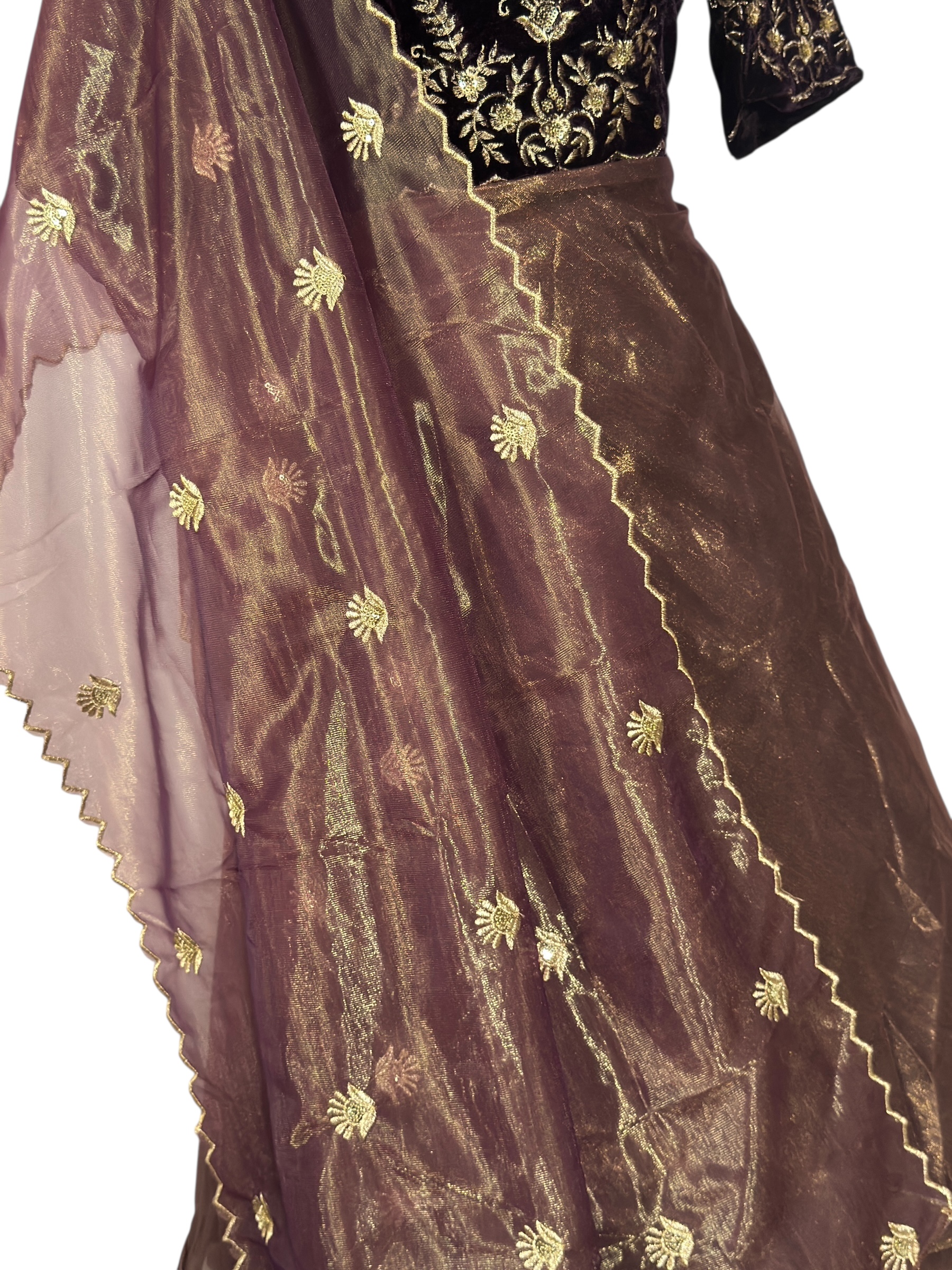 Elegant Embroidered velvet Dress