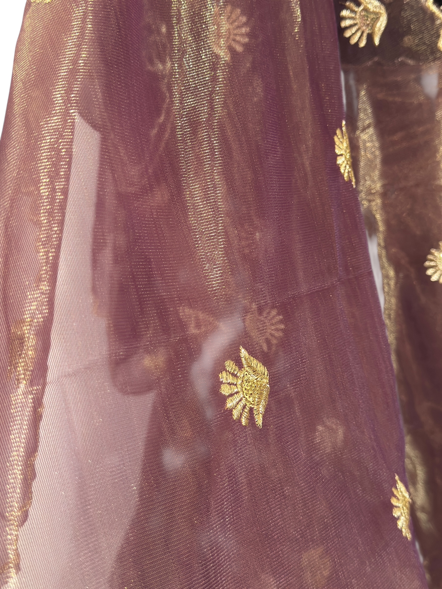 Elegant Embroidered velvet Dress