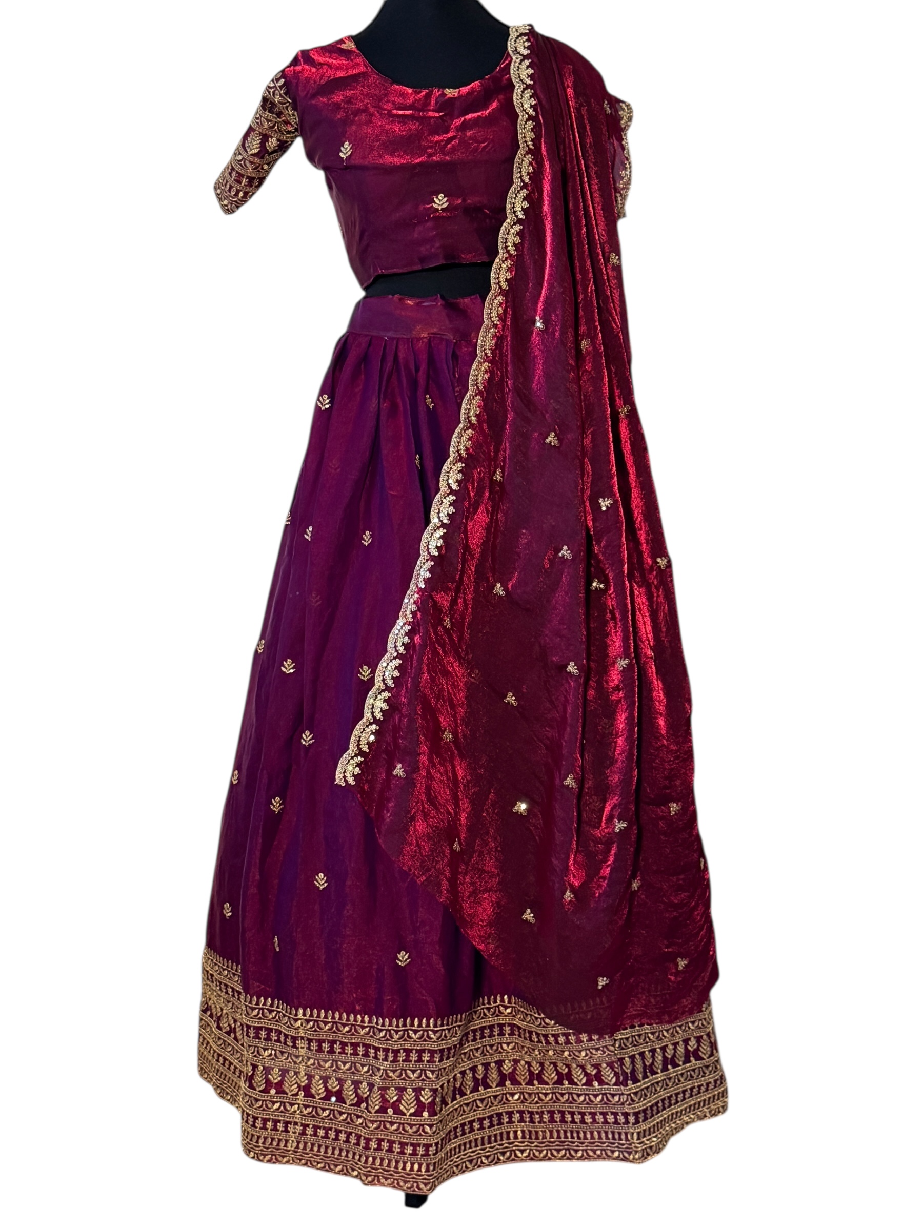 Traditional Lehenga Choli