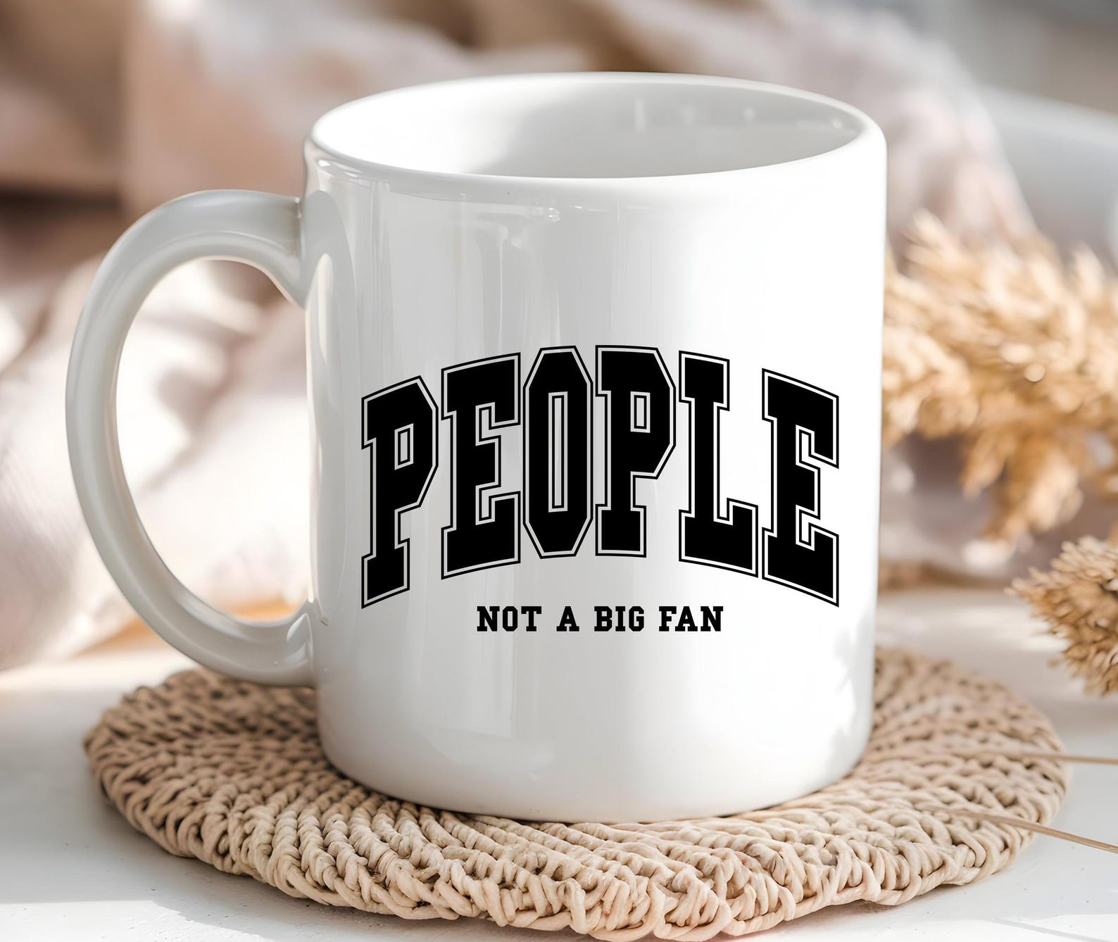 People Not A Big Fan Mug Funny Mug Sarcastic Mug Gag Mug Funny Quote Mug Work Place Mug Office Gifts Gag Gift Coffee Lover Christmas Gift