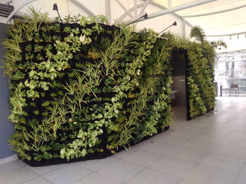 Vertical Garden - Natural, W/O Drip System