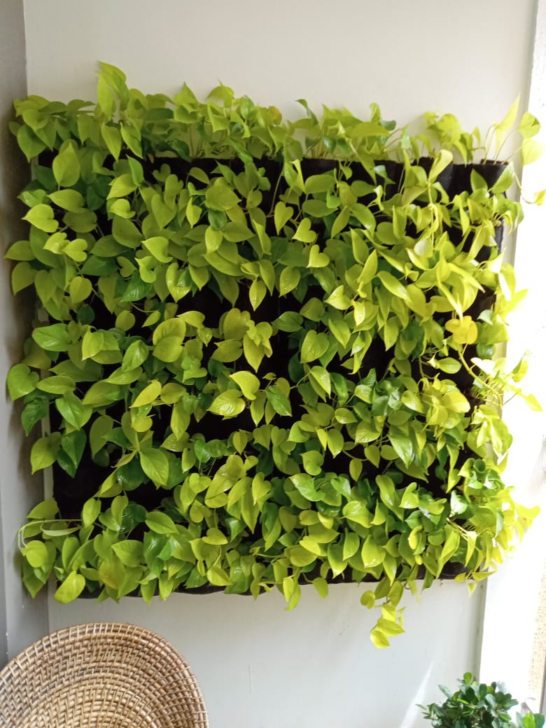 Vertical Garden - Natural, W/O Drip System