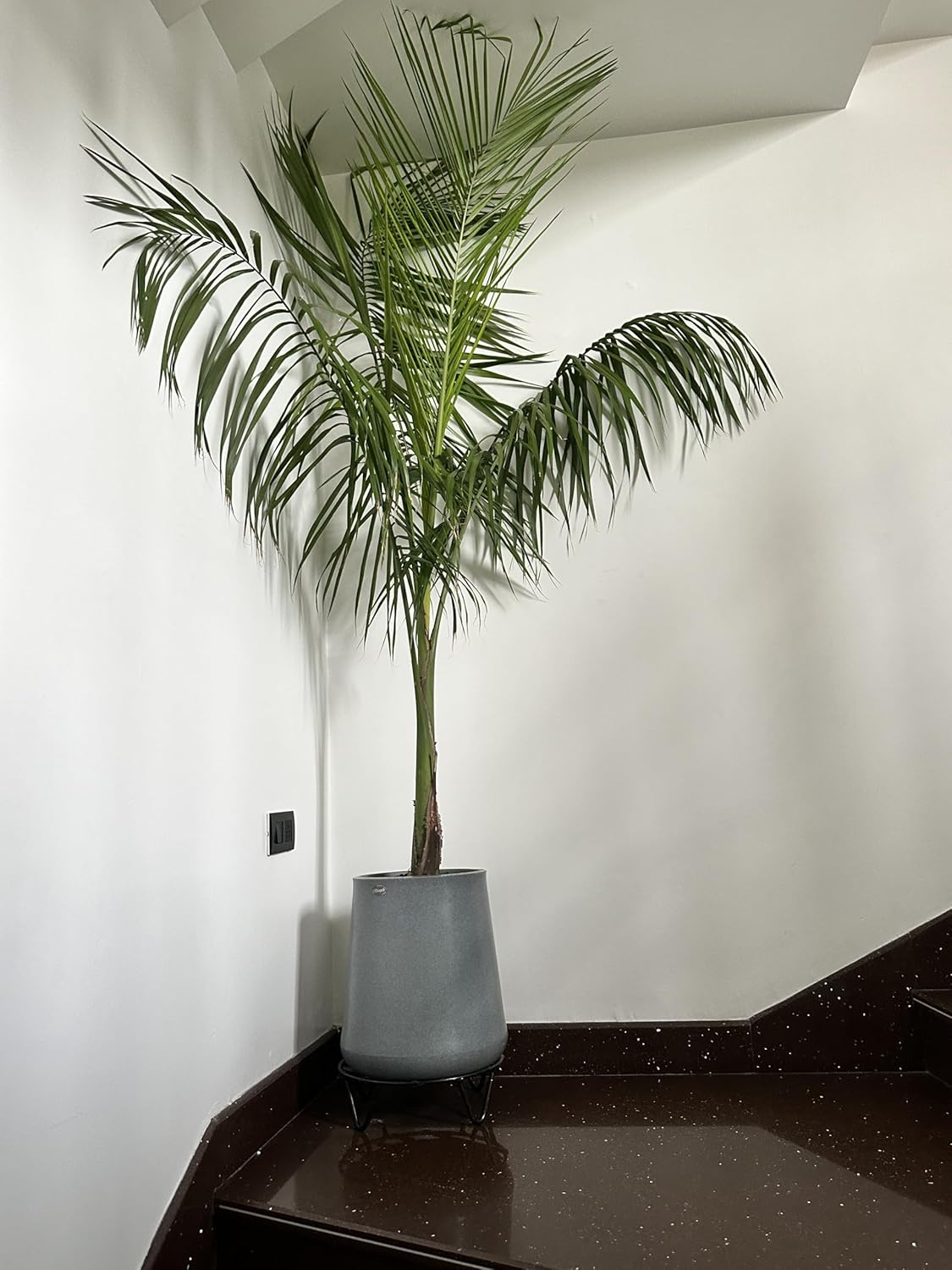  Flora High Fiber Planter