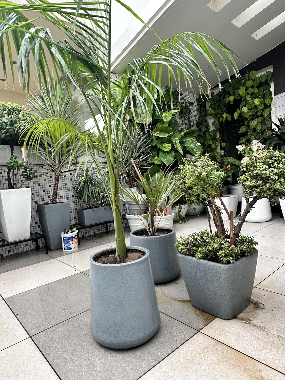  Flora High Fiber Planter
