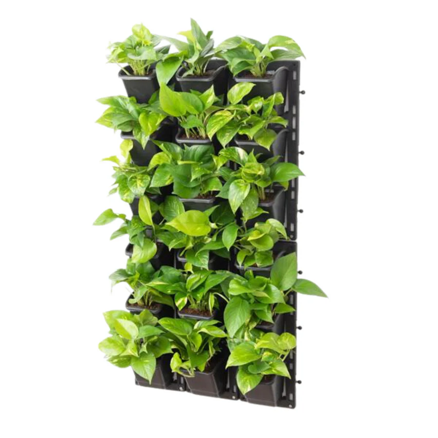 Natural Vertical Garden - With Self Drip System