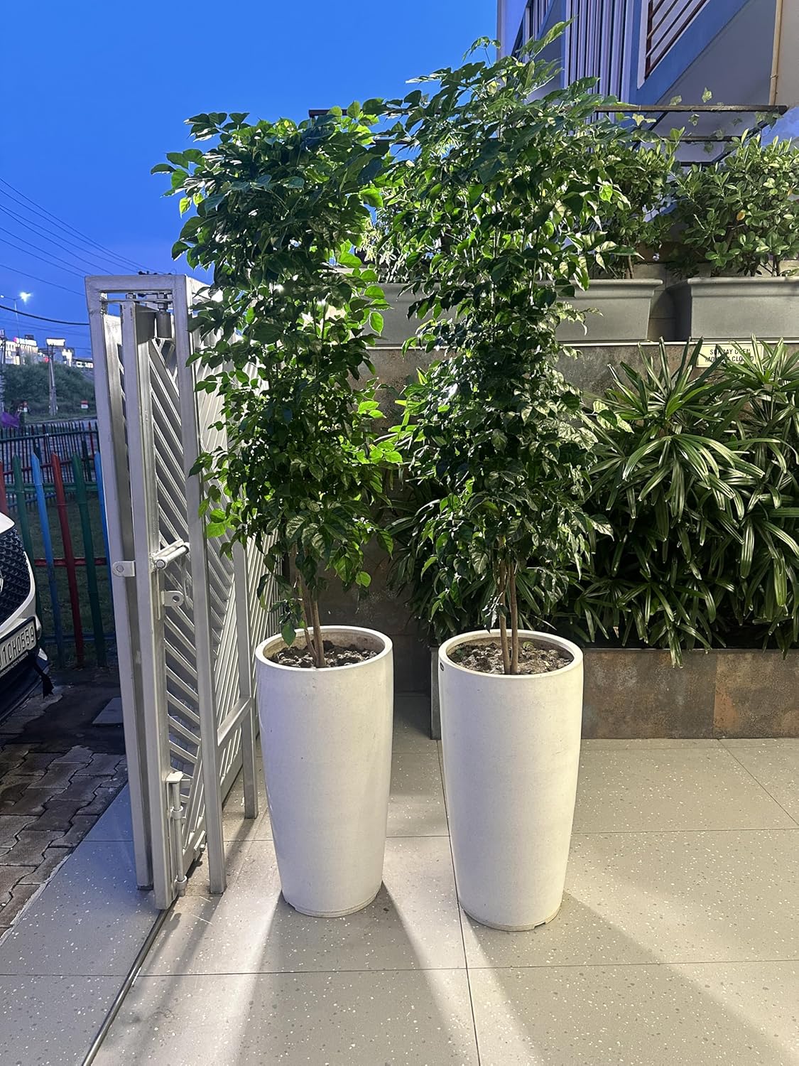 FRP Classic Planter, Series: GVT