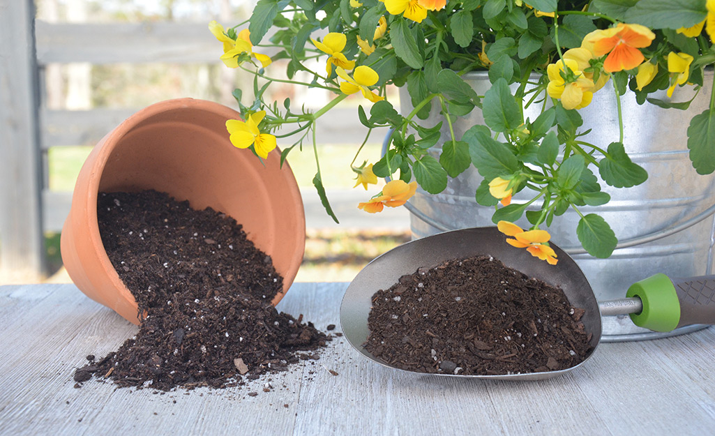 Potting Mix - Soilless Media