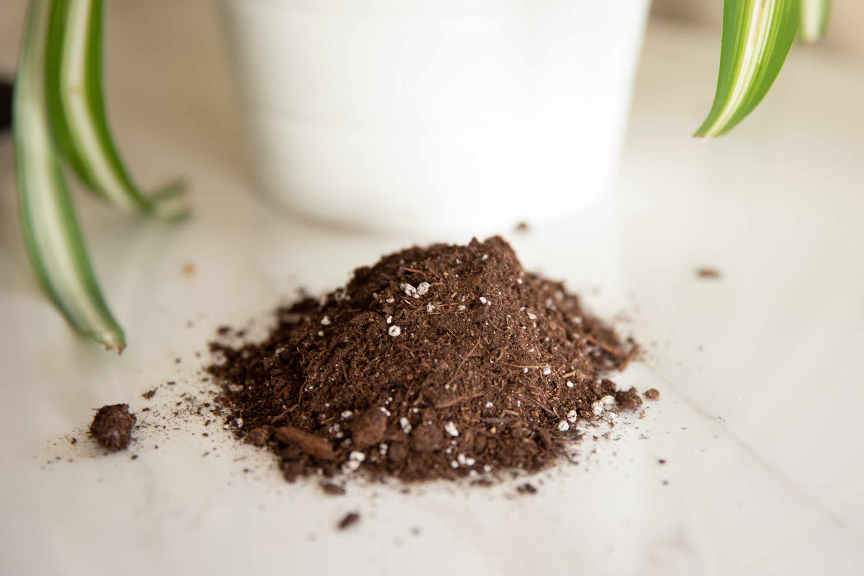 Potting Mix - Soilless Media