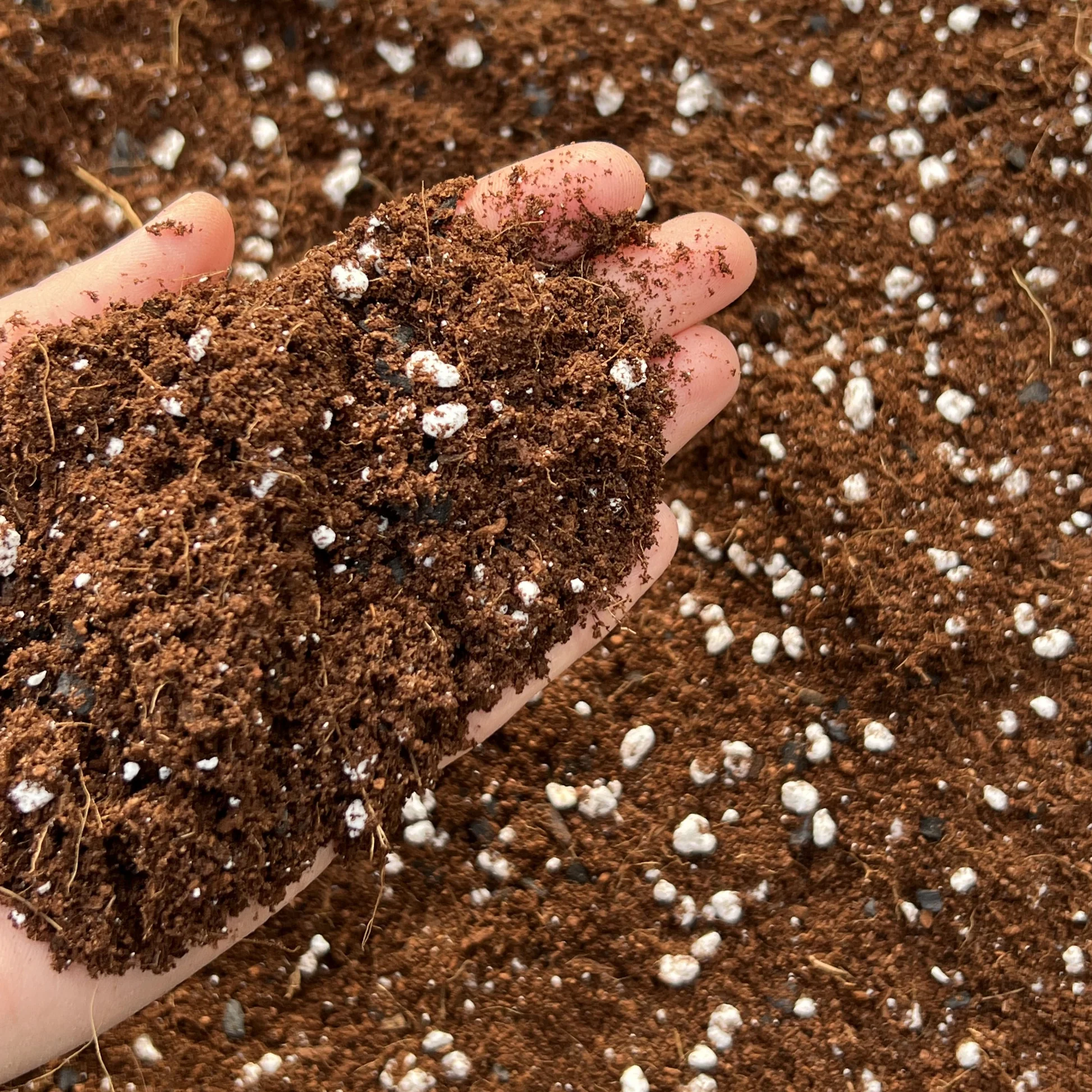 Potting Mix - Soilless Media