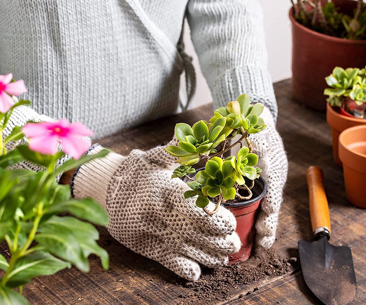 Paggu Gardening Tool Set 4 Pcs