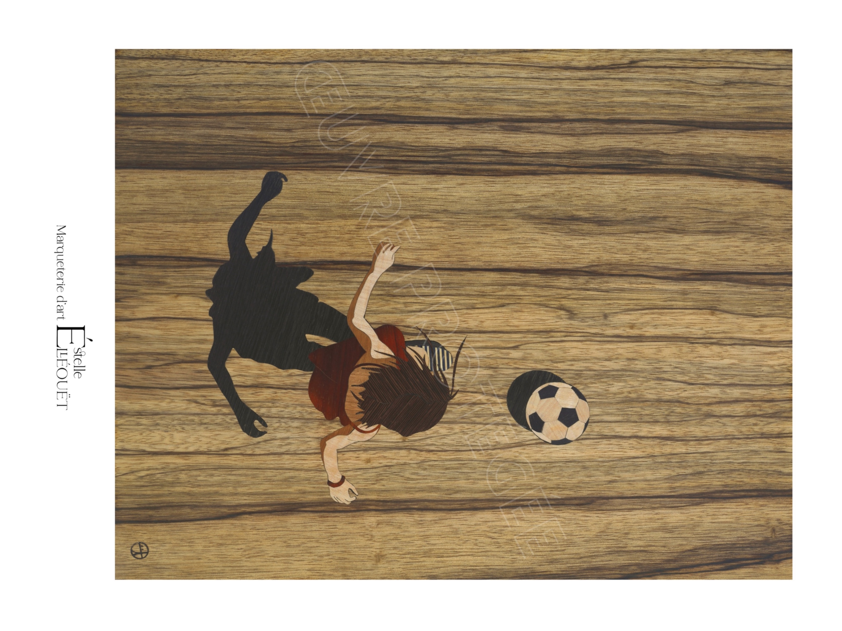 AFFICHES -  FOOTEUSE ZEBRANO