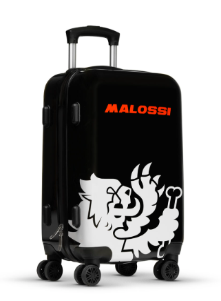 Malossi Luggage Hardcase