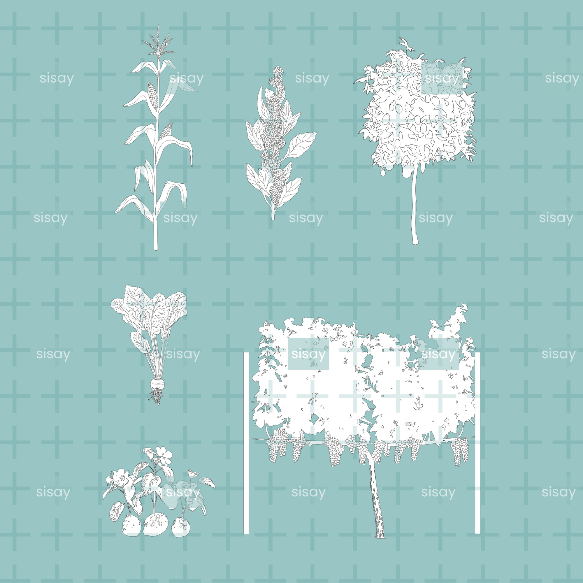 Pack de vectores de cultivo
