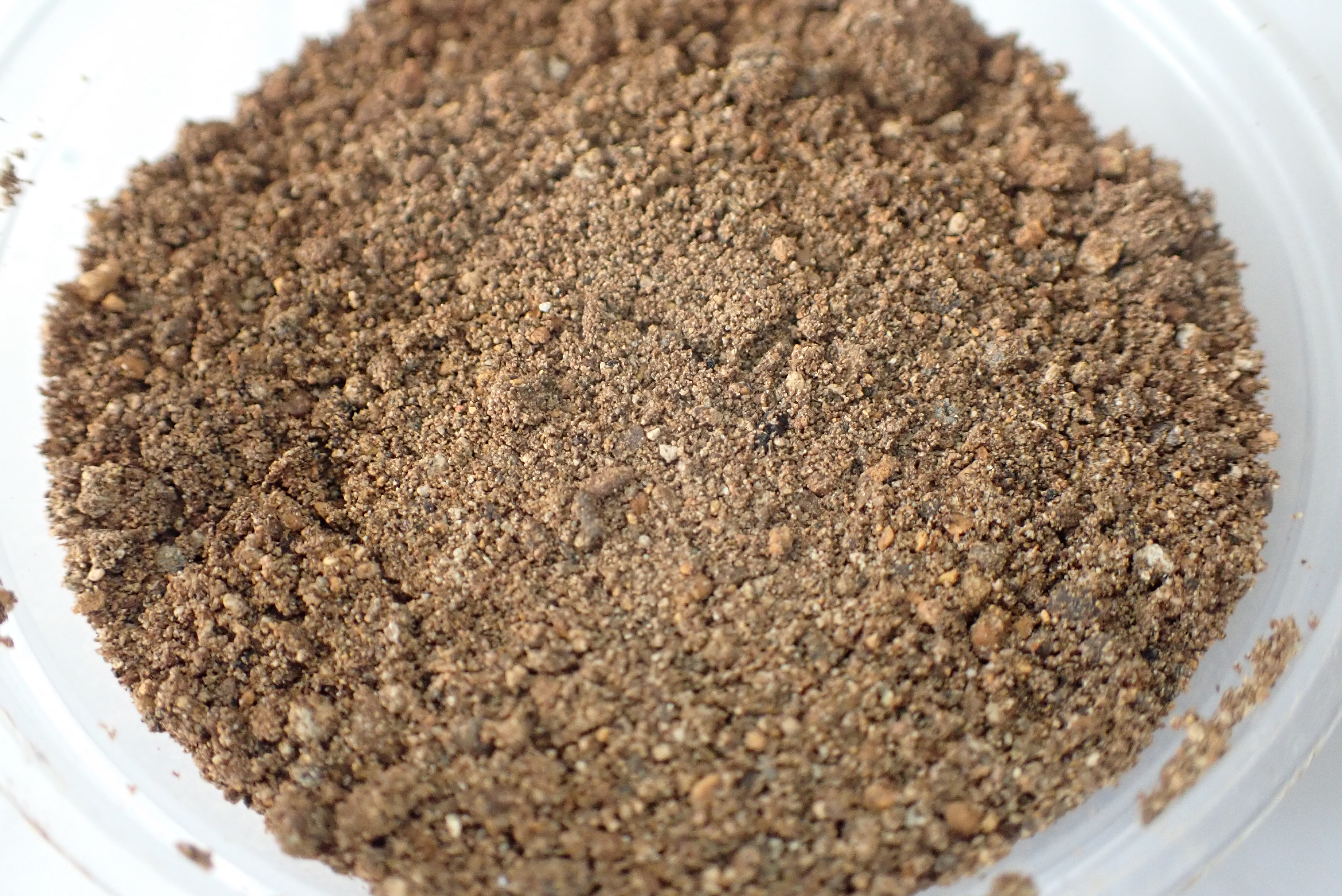 Bat Guano