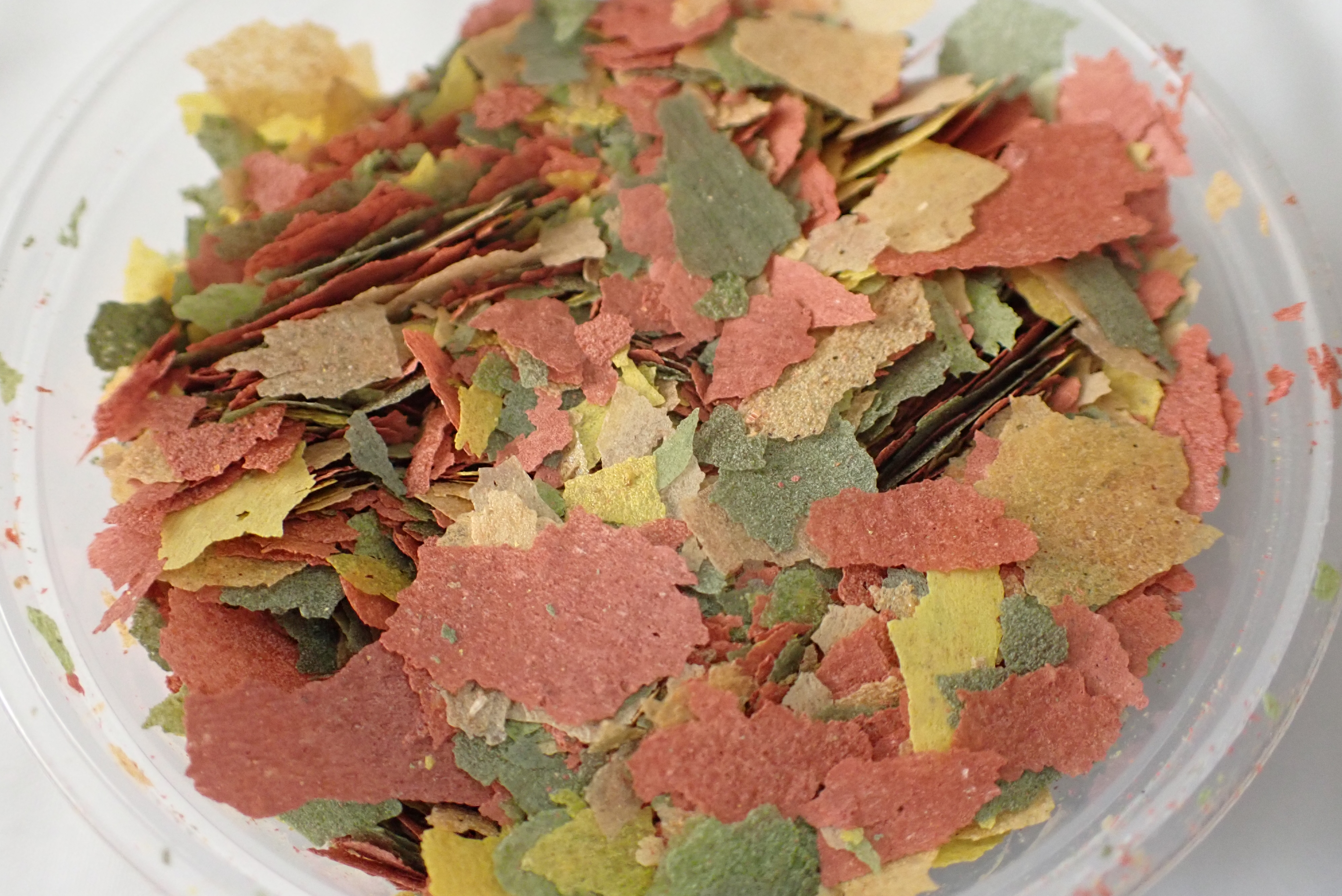 Fish Flakes