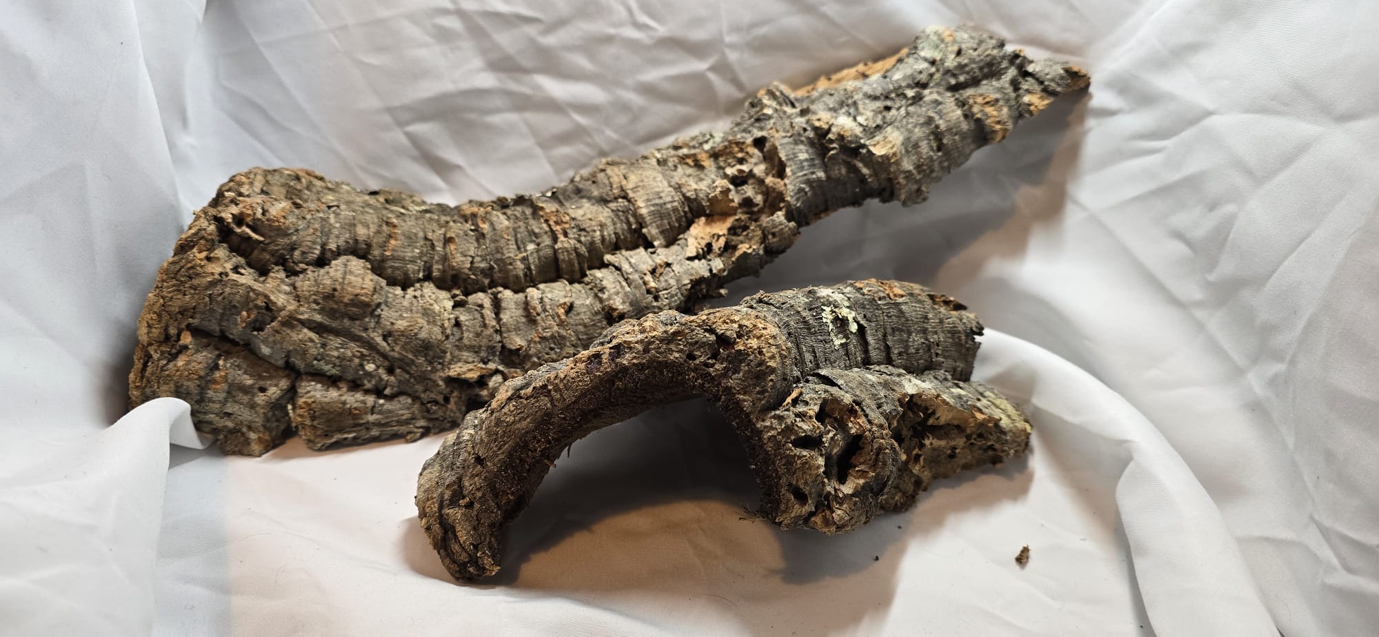 Cork Bark