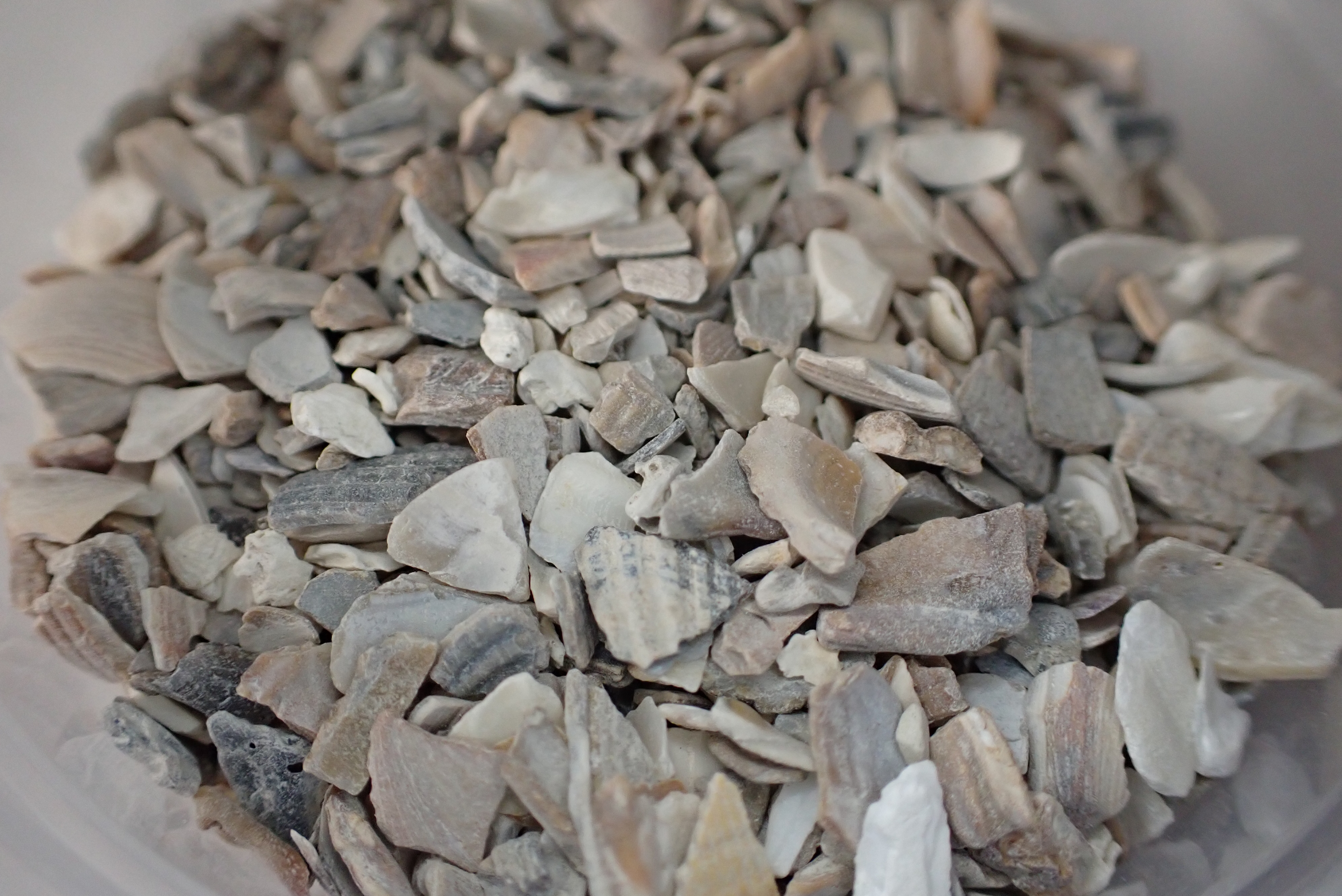 Crushed Oyster Shells