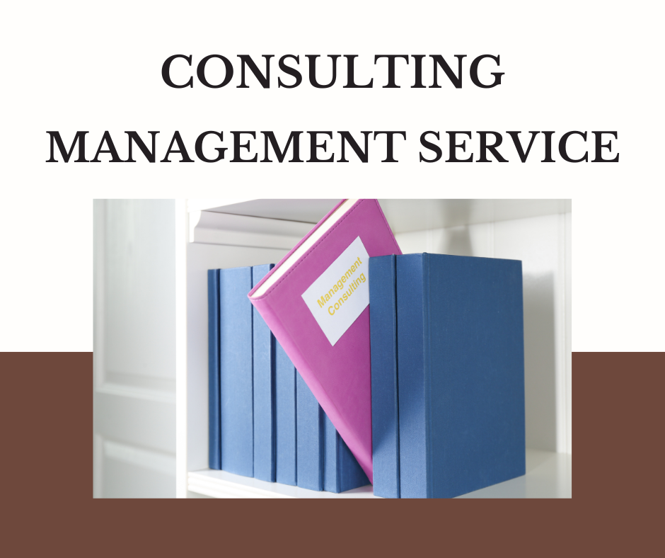 Consulting Management service