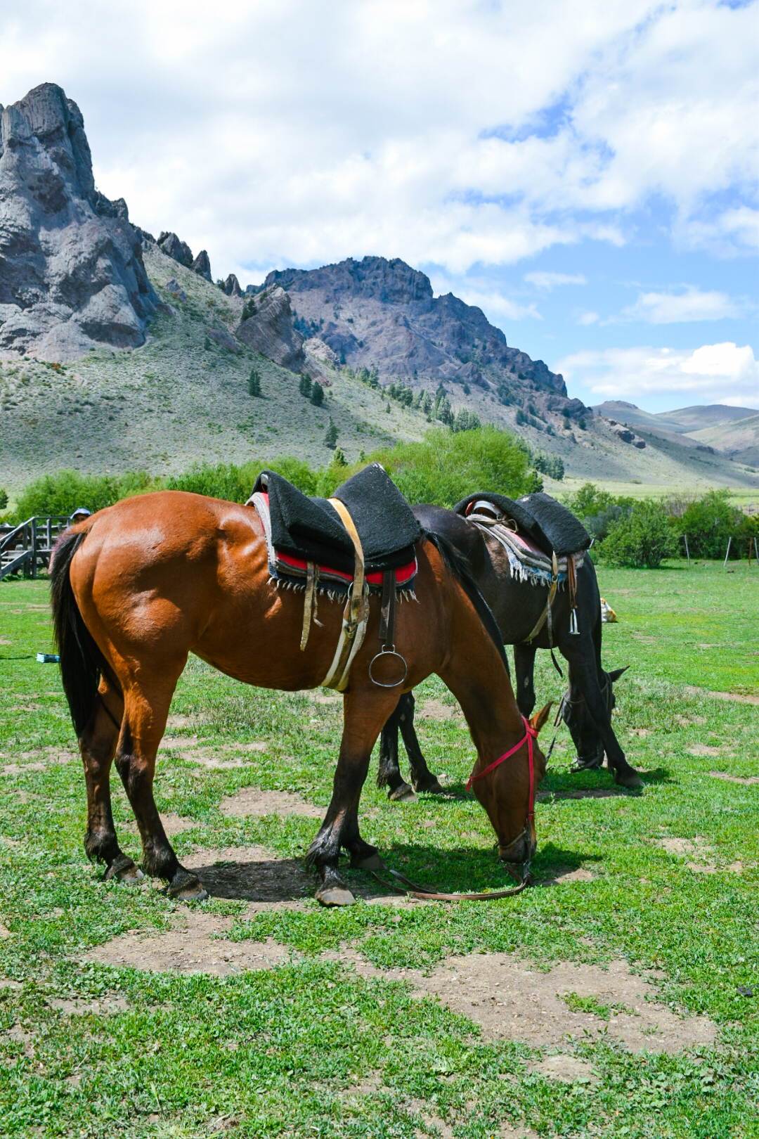 CABALGATA BOSQUE Y LAGO