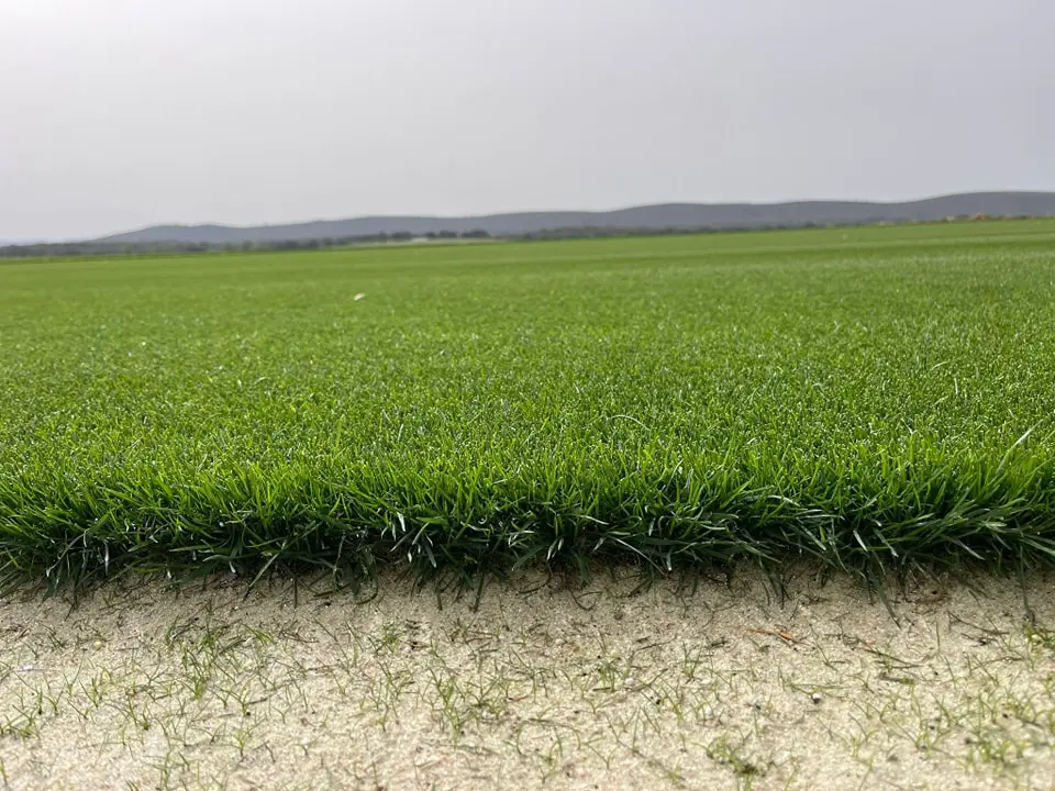 Tepe Natural Rye Blue
