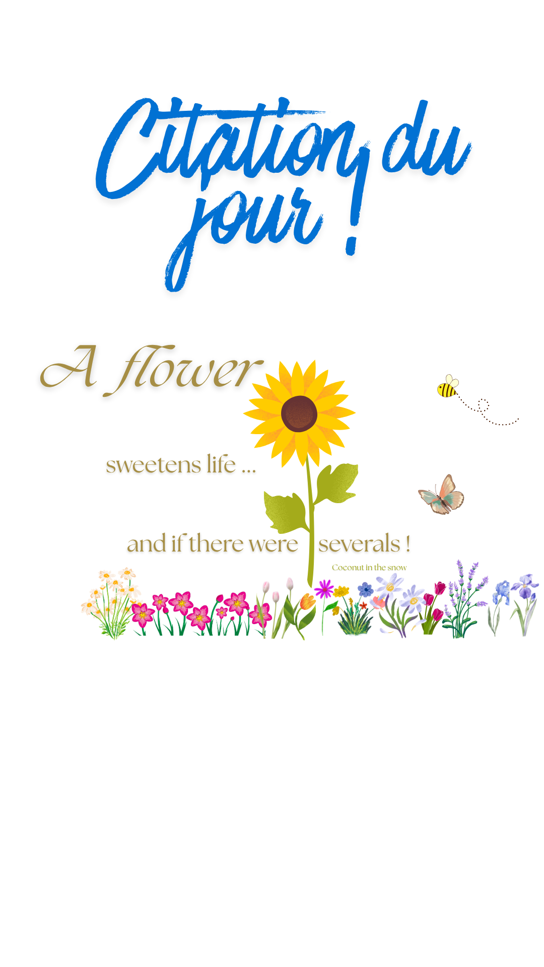 60 FONDS D'ÉCRAN - Citations BY COCONUT