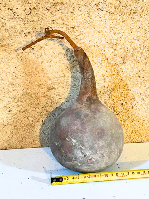 Courge brute à transformer