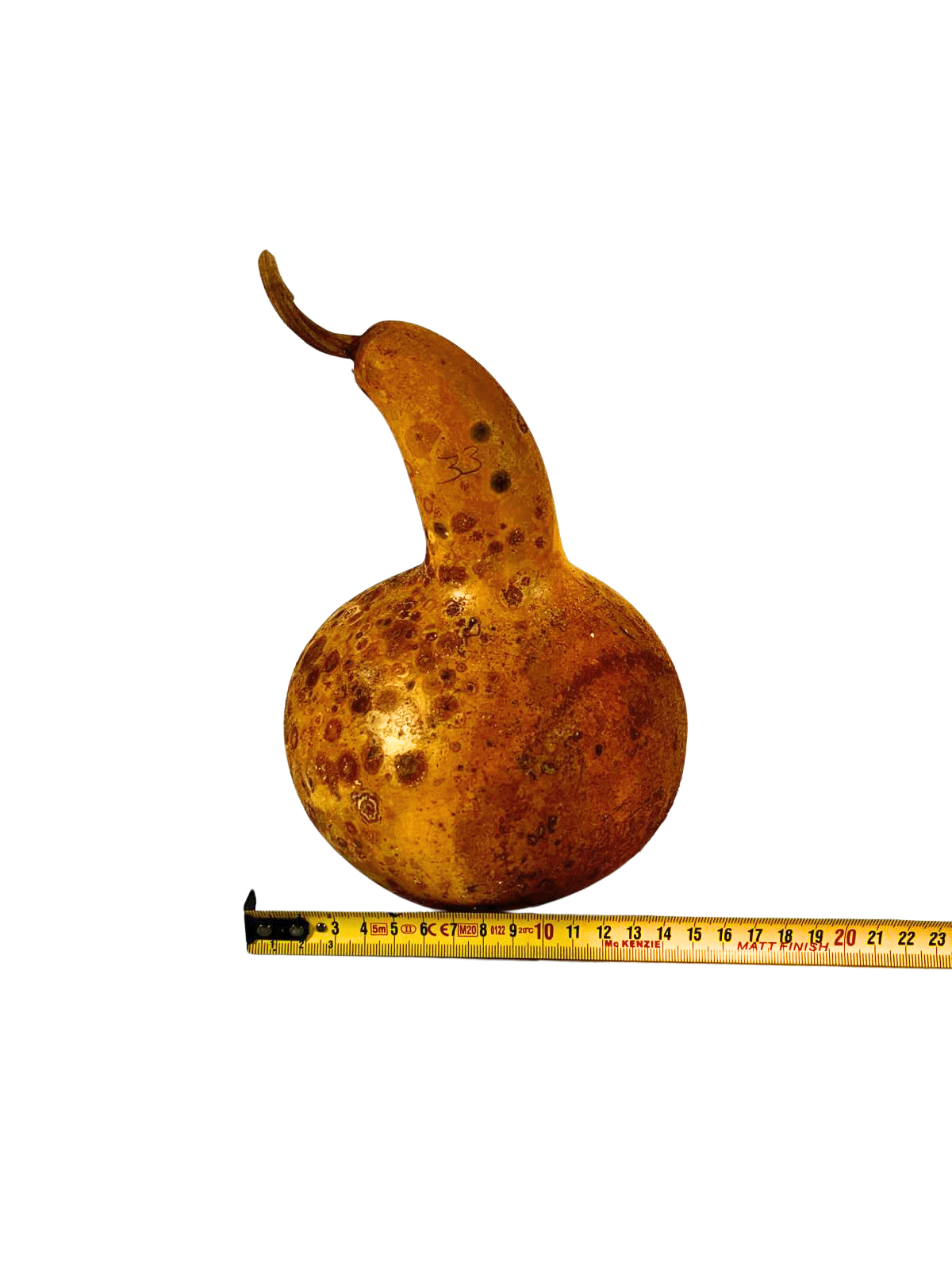 Courge brute à transformer