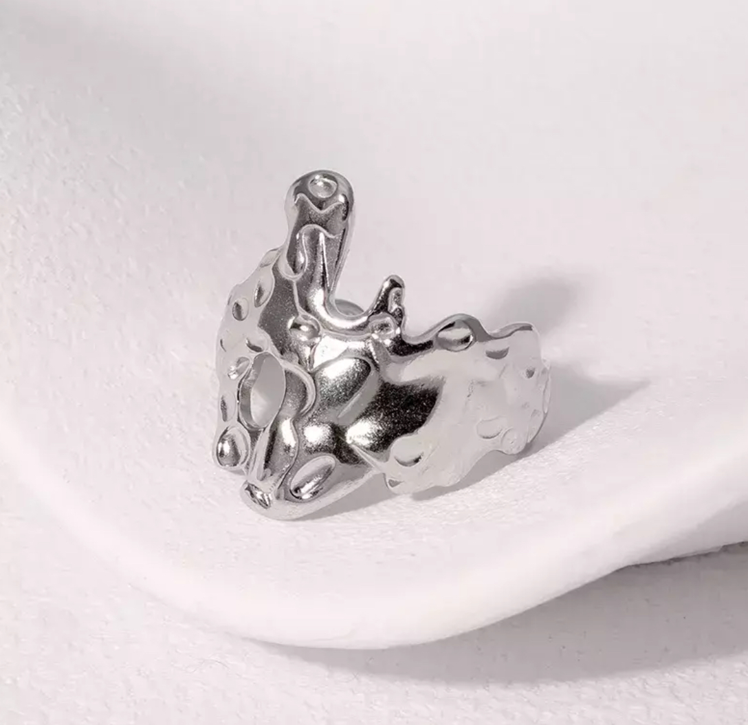 ANILLO FRANCIA SILVER 