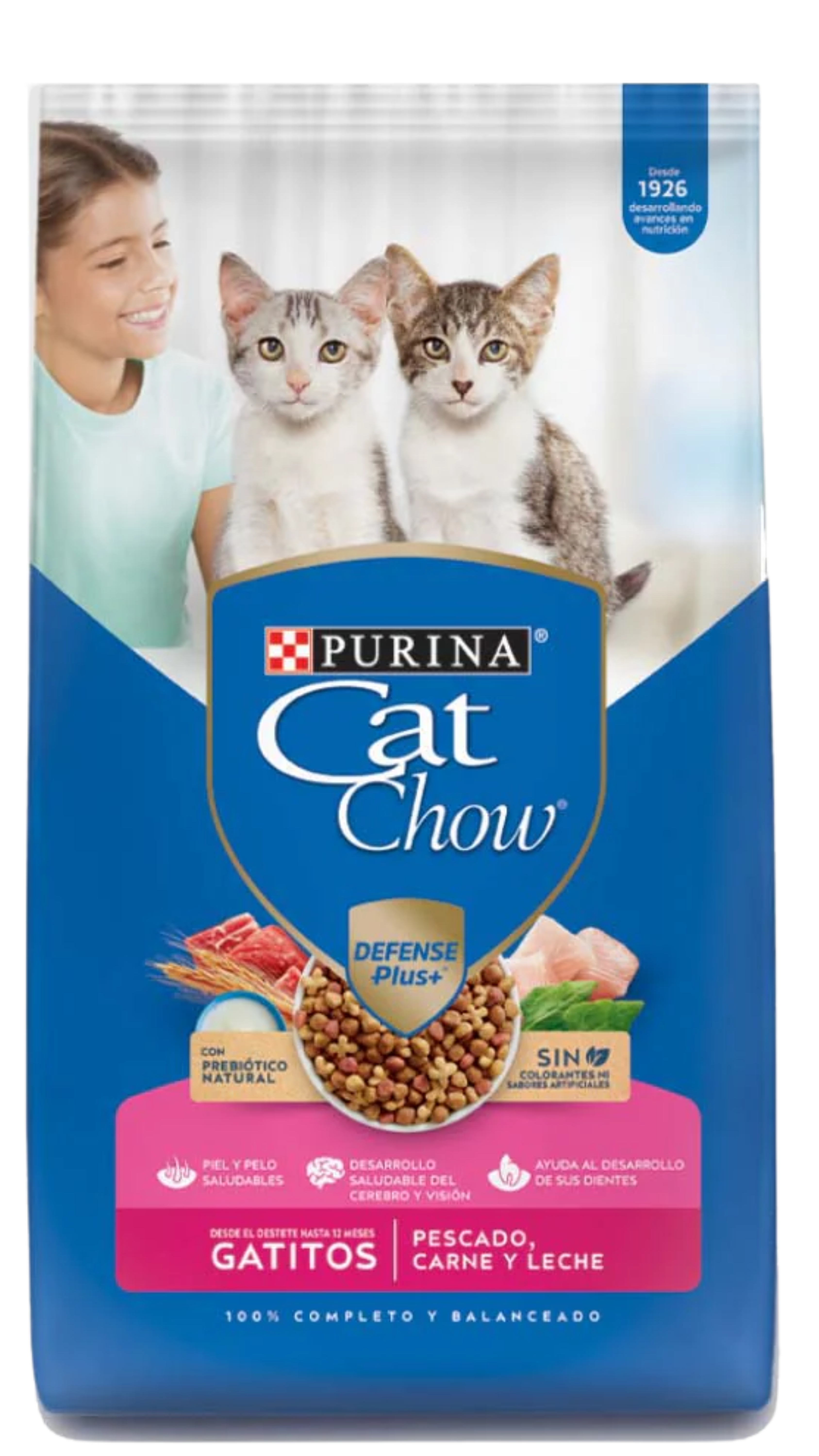 Cat Chow Gatitos 19.5 Kg