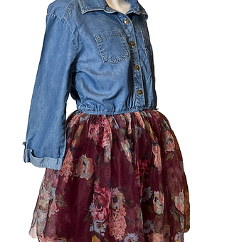 Jean top with Violet Bottom Dress (size 10)