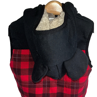 Disney Jr Boy’s Red Insulated Vest (3T) 