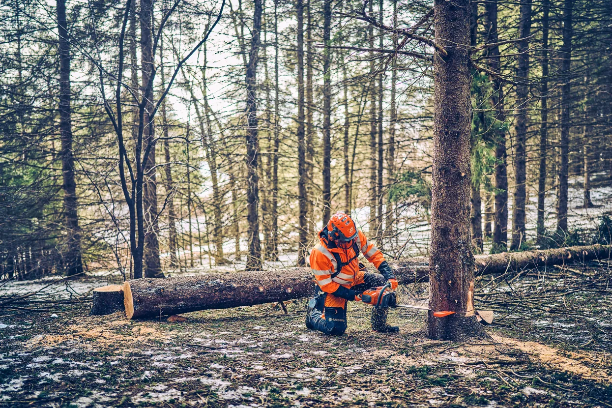 Husqvarna 562 XP® Mark II