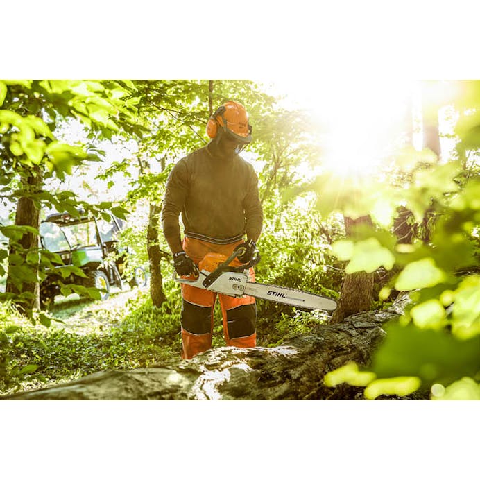 Stihl MS 291