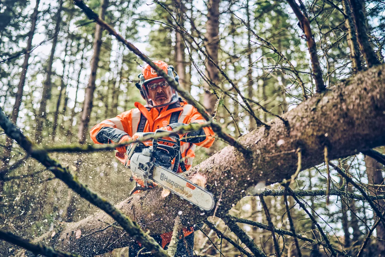 Husqvarna 562 XP® Mark II