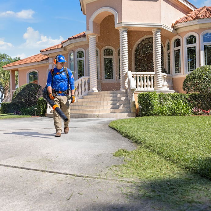 Stihl BR 800 C-E MAGNUM®