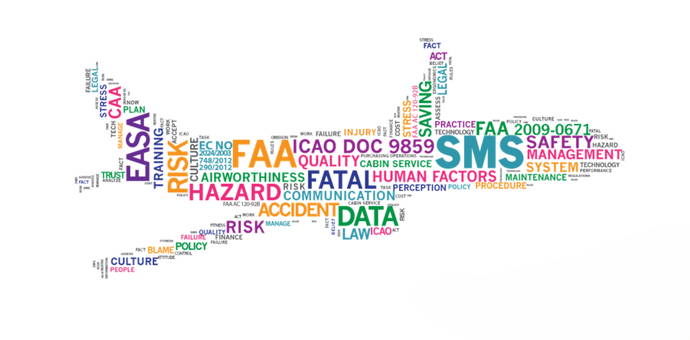 Consulting in Establishing and Developing Safety Management Systems (SMS)