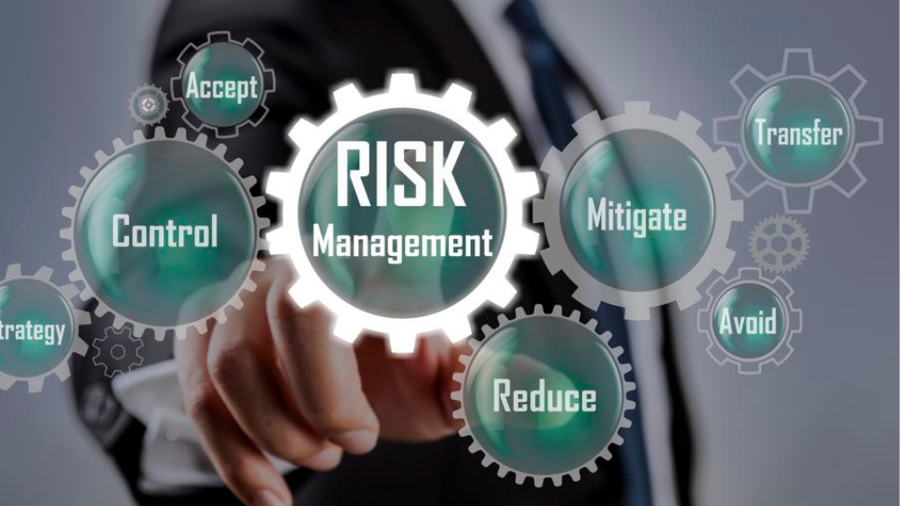 Consulting in Risk Management Around Airports