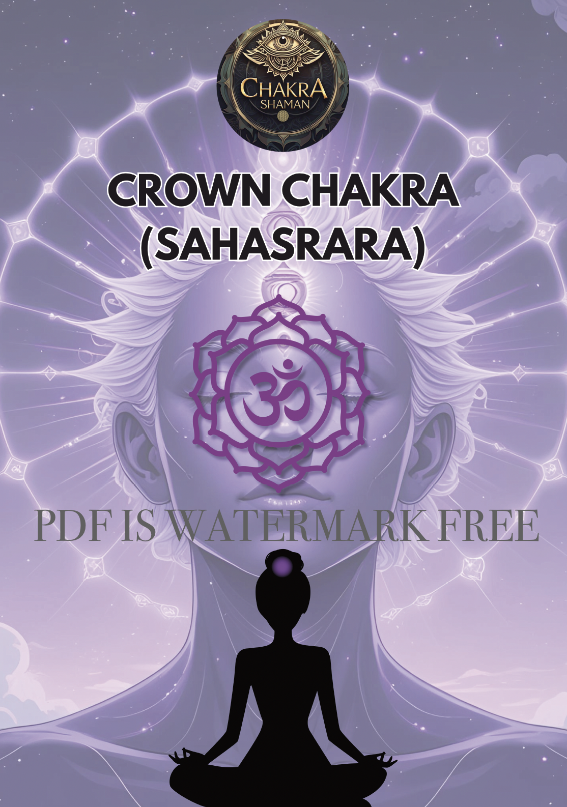 Crown Chakra Display Art