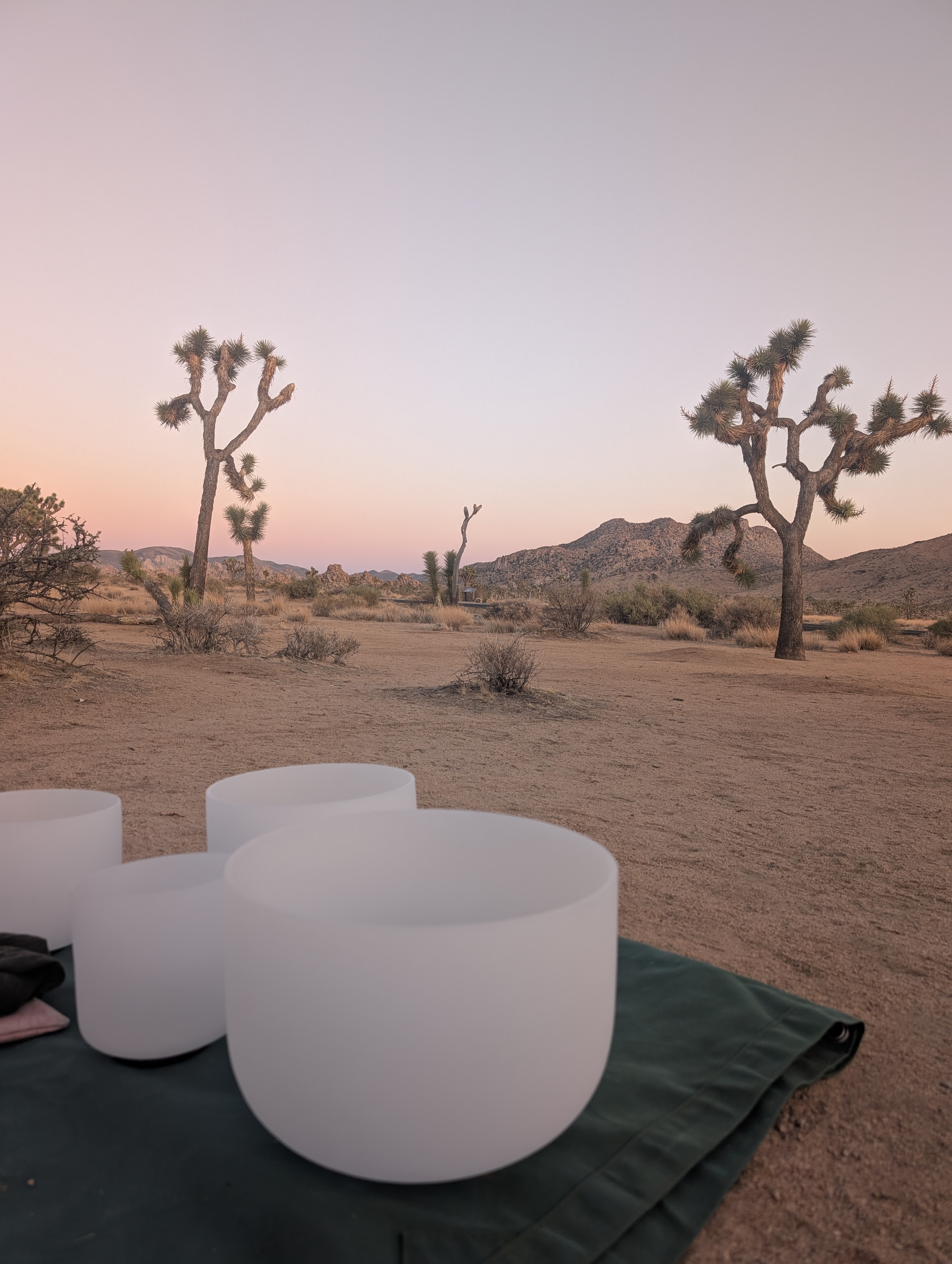 1 Hour Sessions: Sound Healing Crystal Quartz Bowls 