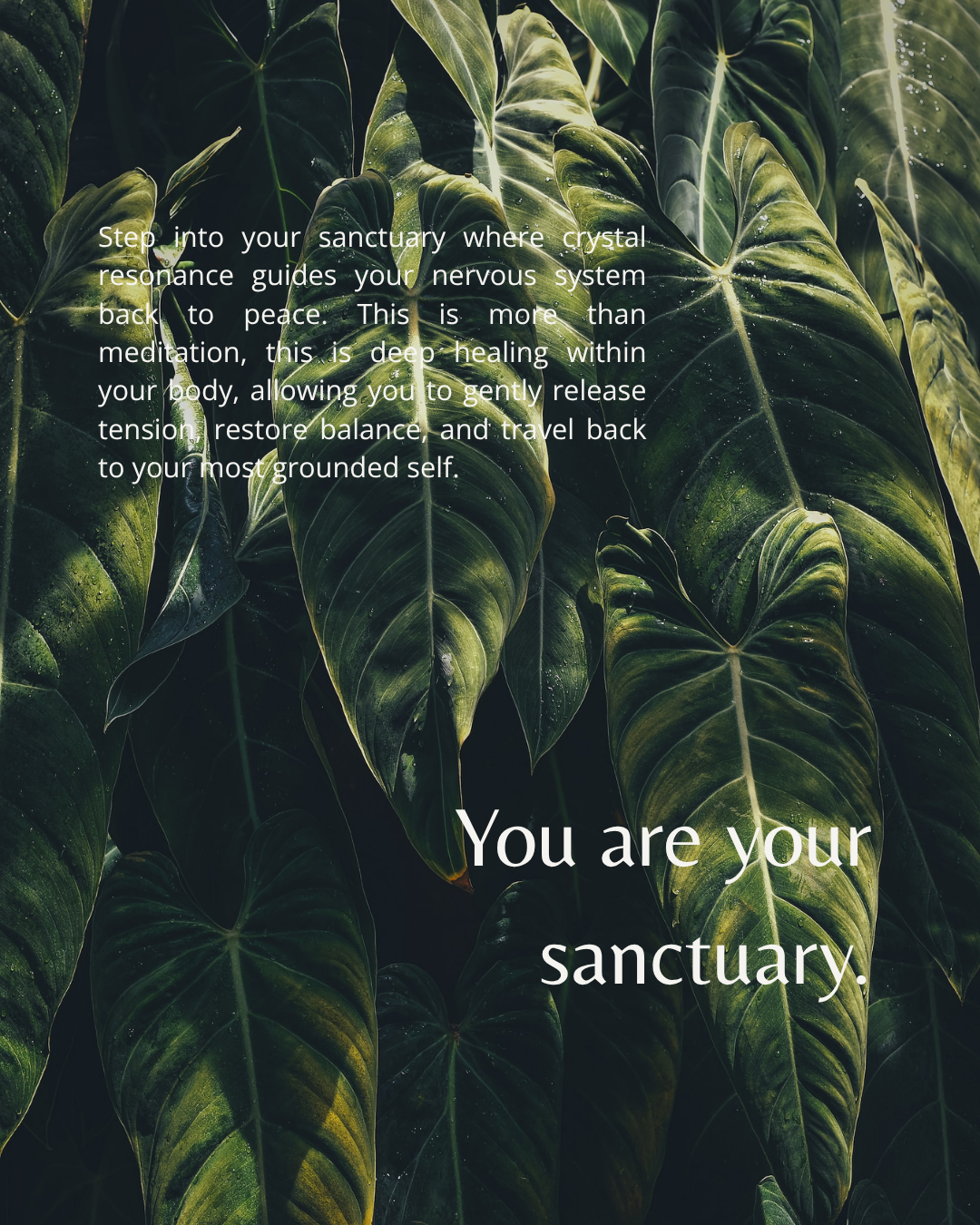 The Deepest Resonance: Private Sound Bath Experience