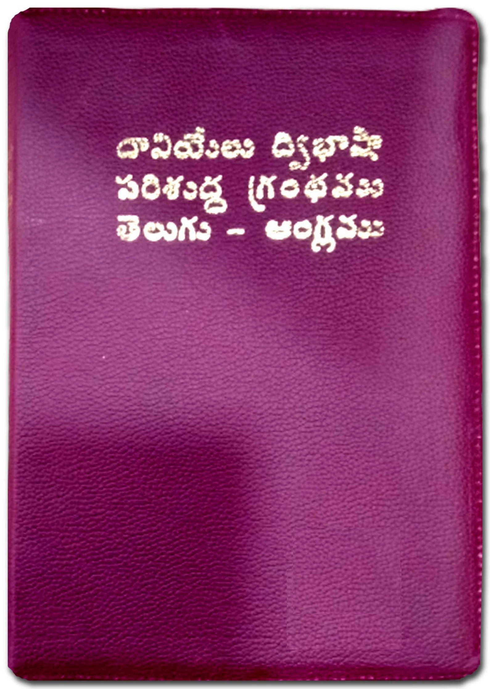 Daniel Bilingual Bible Zip (Telugu - English)