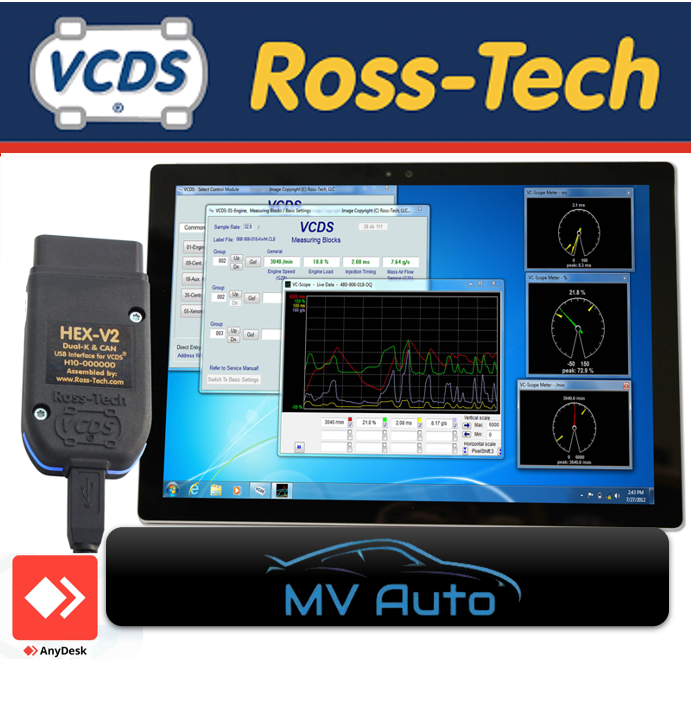 VCDS 25.3