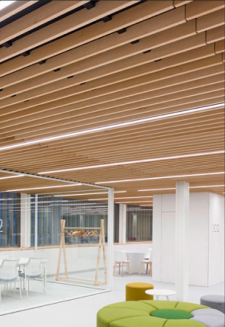 WPC Decke Innenbereich