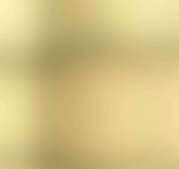 Bambus Wandverkleidung 